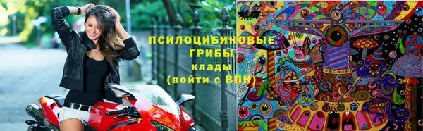 ПСИЛОЦИБИНОВЫЕ ГРИБЫ Алексин