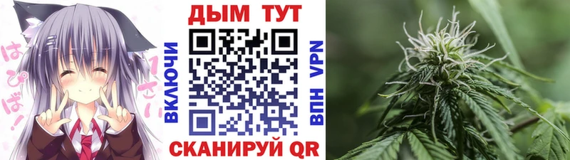 Шишки марихуана семена  Миньяр 